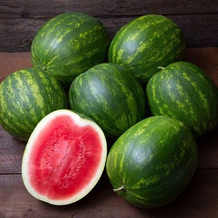Red Watermelon Fruit - Heirloom, Non - Gmo Seeds