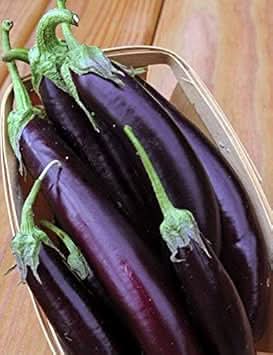 Eggplant Seeds for Planting Violet