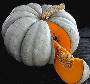 Grey Pumpkin Cucurbita maxima seeds for garden planting