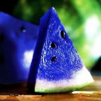 Watermelon Fruit Blue Heirloom Non Gmo Image