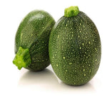 Green Gemsquash vegetable plant growing in garden
