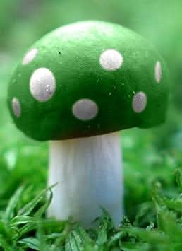 Light green mushroom Pleurotus ostreatus spores for indoor growing