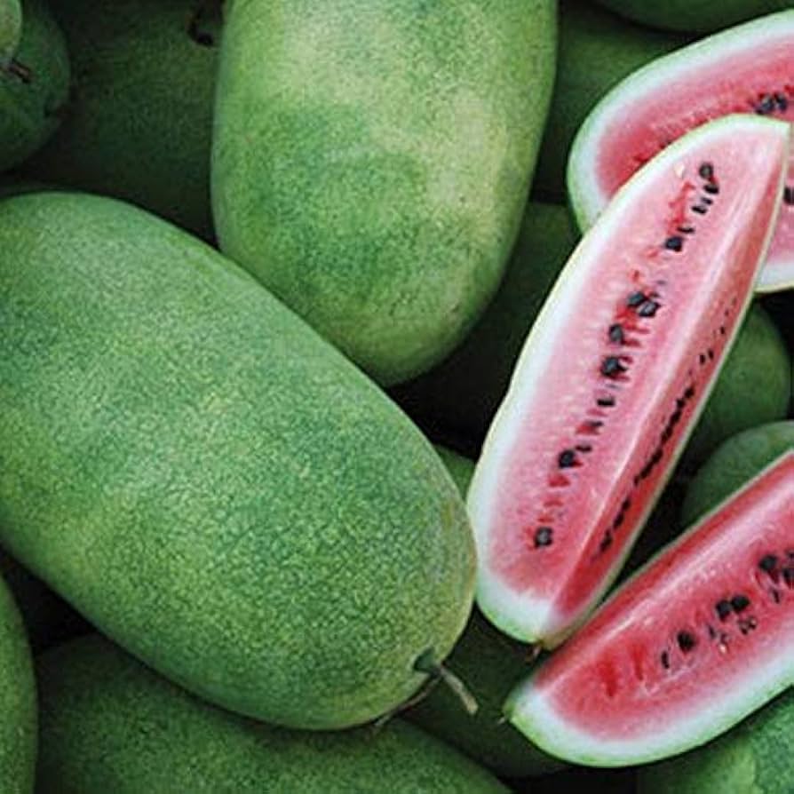 Giant Watermelon Seeds for Planting Charleston Grey Sweet Fruit ( pcs)
