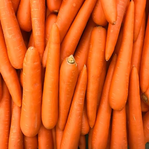 Orange Carrot - Heirloom, Non - Gmo Seeds
