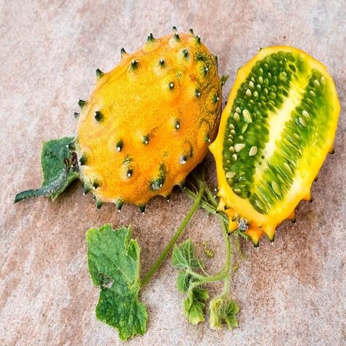 Yellow Kiwano Melon Fruit