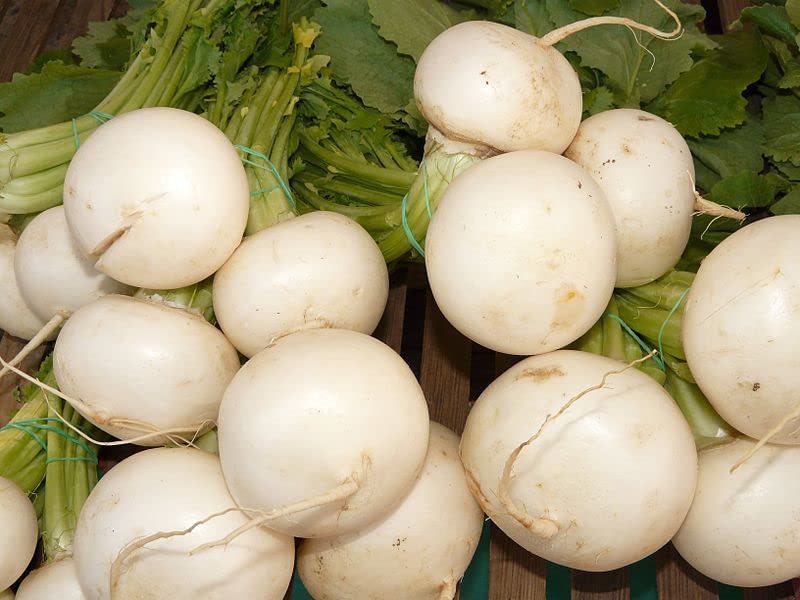 Japanese Turnip Shogoin Brassica rapa vegetable seeds for planting in kitchen garden or container garden
