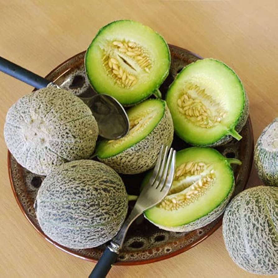 Edens Gem Rocky Ford Heirloom Non-GMO Green Melon Seeds