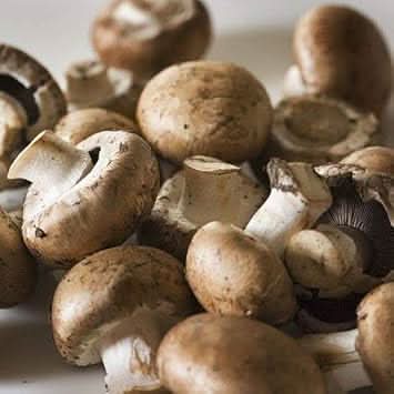 Mushroom Seeds for Planting, Light Brown