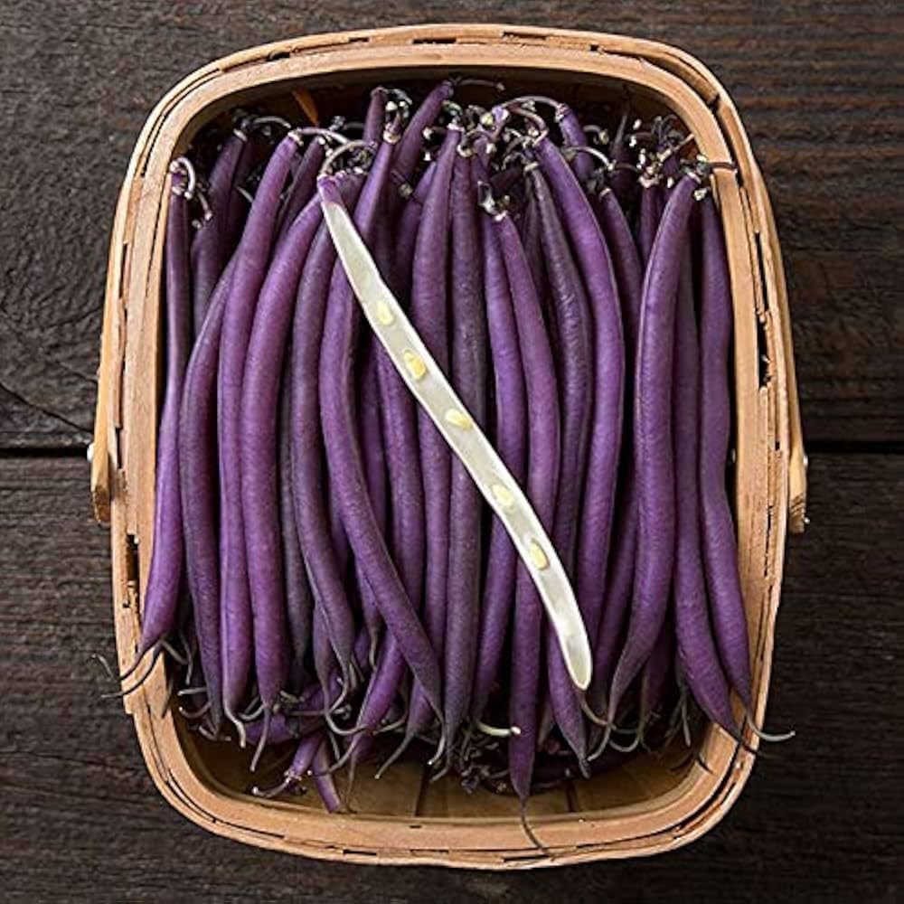 Purple string beans – vegetable seeds for planting