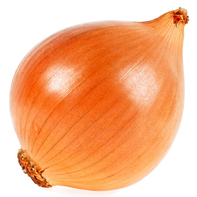 Onion Allium Cepa Texas 1015Y Sweet Vegetable Seeds for Planting – Great for Home Garden and Mild Cooking Use