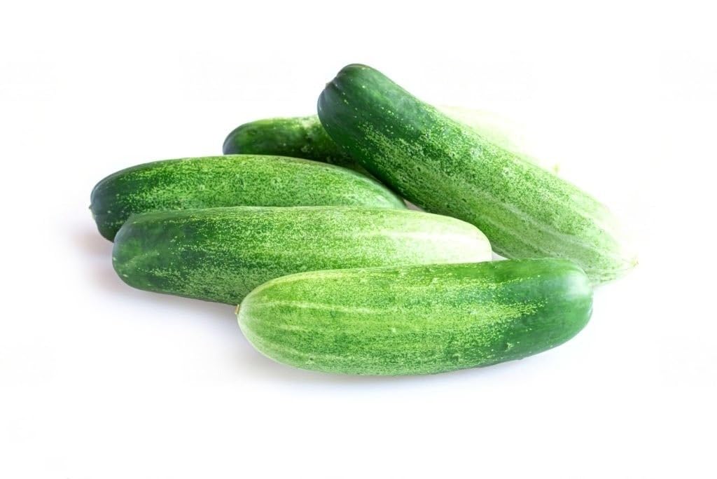 Cucumber Cucumis Sativus Ashley Vegetable Seeds for Planting – Heirloom Variety for Home Garden and Summer Harvest