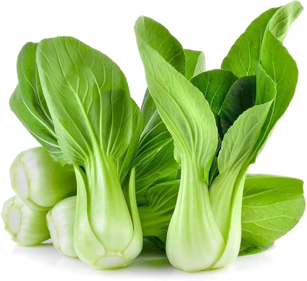 Pak Choi White Stem Cabbage Plant Seeds
