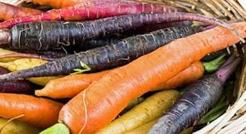 Mixed Carrot Seeds for Planting