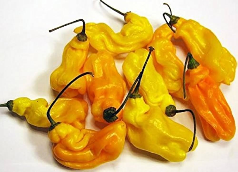 Madame Jeanette Yellow Pepper seeds