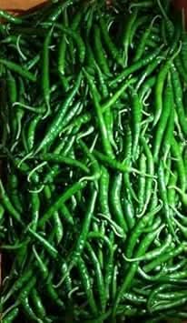 Green Pepper Tree Seeds for Planting - heirloom & Non-GMO Seeds