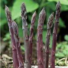 Asparagus Vegetable Seeds for Planting