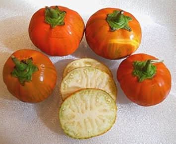 Orange Green Eggplant Seeds for Planting