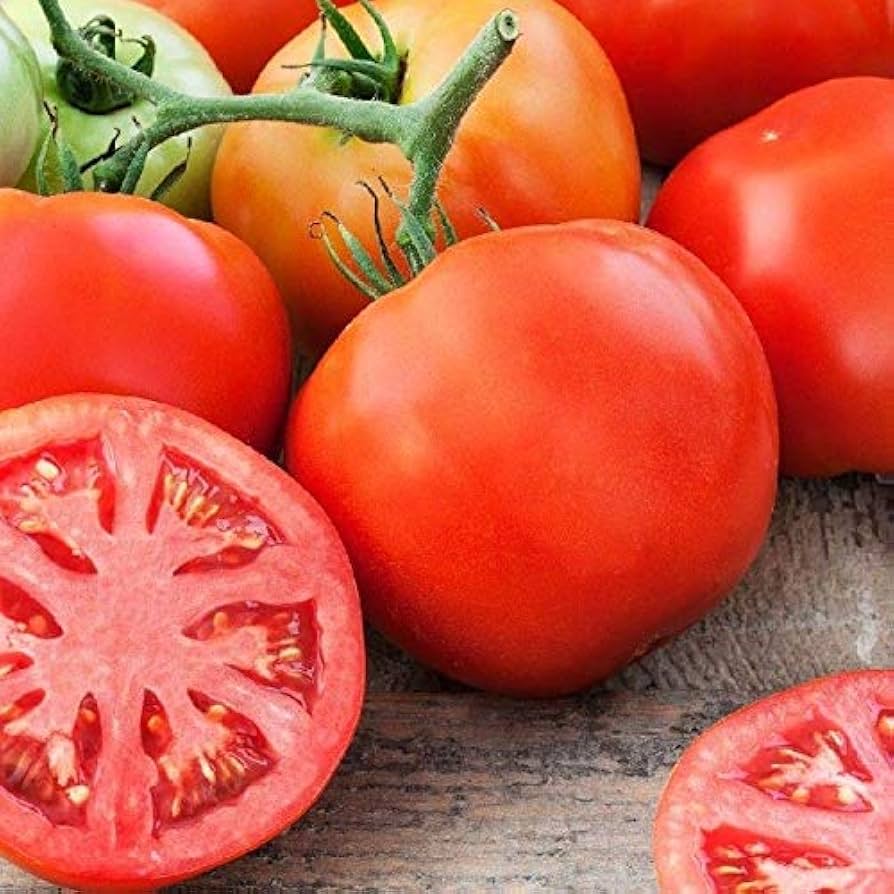 Tomato Solanum Lycopersicum Homer Heirloom Vegetable Seeds for Planting – Suitable for Backyard Gardening and Traditional Flavor