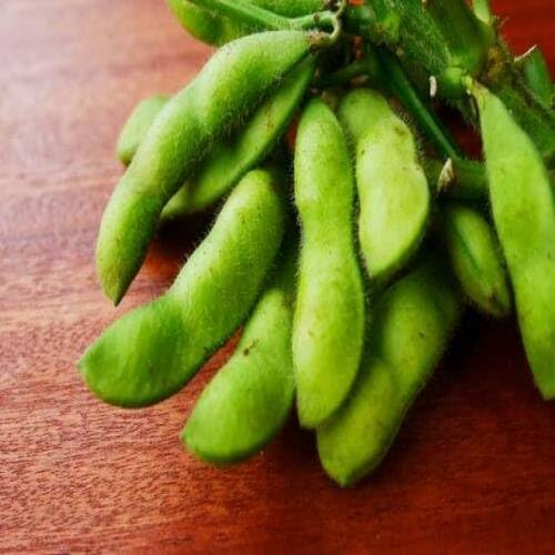 Green Soyabeans - Heirloom, Non - Gmo Seeds