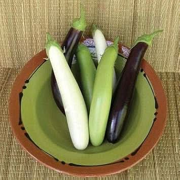 Eggplant vegetable Seeds for Planting Mixed seeds