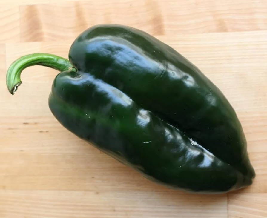 Poblano Pepper Capsicum annuum Seeds for Planting