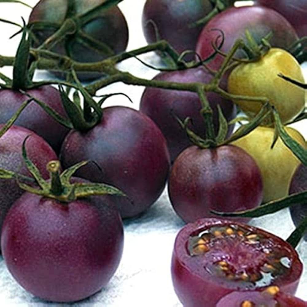 Chocolate Cherry Tomato Heirloom Vegetable Seeds