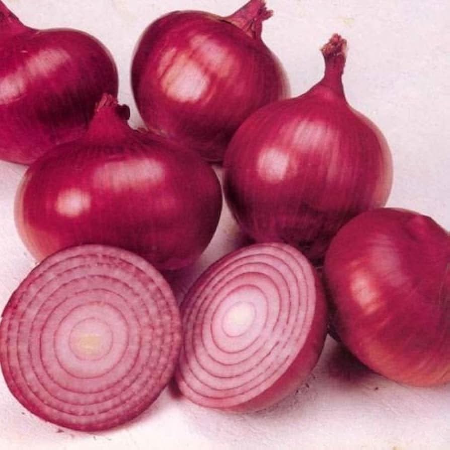 Onion Allium cepa Vegetable Seeds for Planting Red Wheat Variety in Kitchen Garden