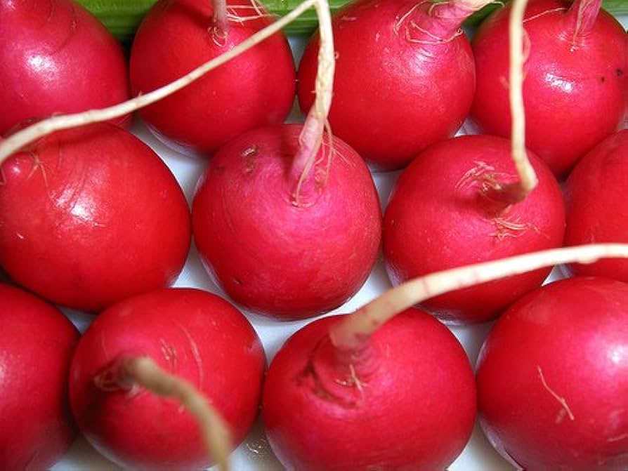 Crimson Giant Radish Seeds Heirloom Non-GMO Root Vegetable Seeds