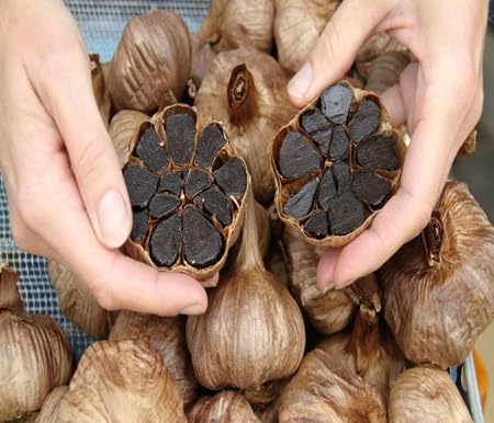 Garlic - Heirloom, Non - Gmo Seeds