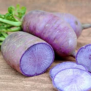 Violet Raddish Violet Radish Seeds for Home Garden – Order Today – Dharaseeds