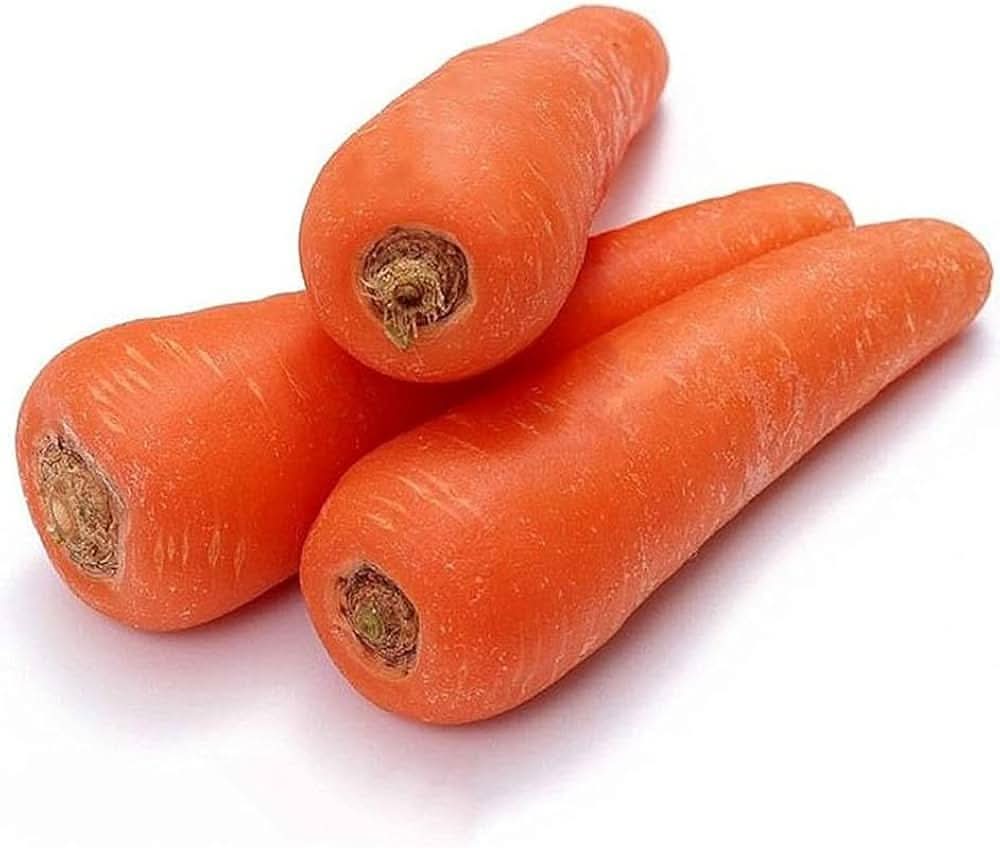 Carrot Daucus Carota vegetable seeds for planting in kitchen garden and backyard gardening plots