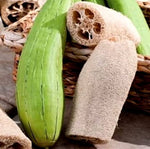 Luffa sponge vegetable seeds for home garden and DIY projects