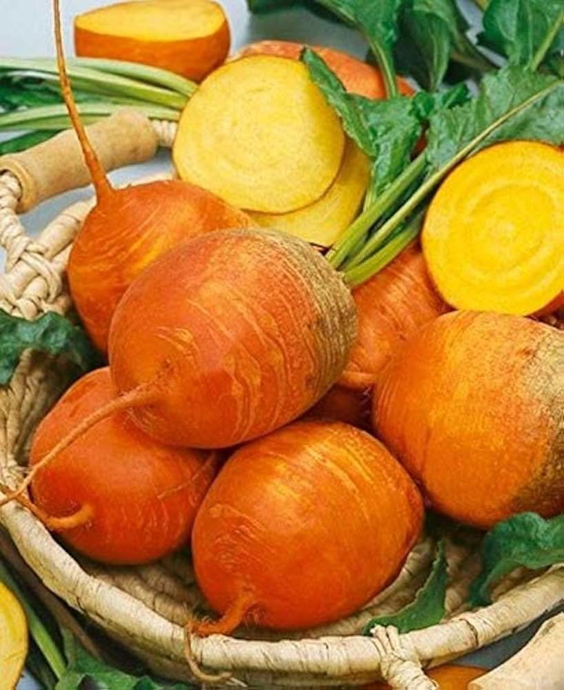 Golden Detroit Beet Beta Vulgaris Vegetable Seeds for Planting in Kitchen Garden and Raised Beds