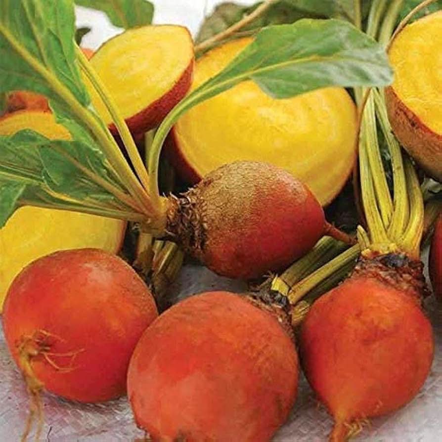 Golden Detroit Beet Beta Vulgaris Vegetable Seeds for Planting in Kitchen Garden and Raised Beds