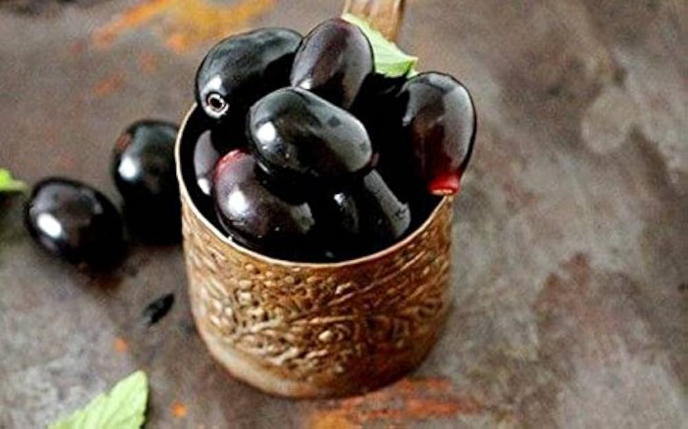 Organic Plum Fruit Seeds Prunus domestica for Planting in Vegetable Patch