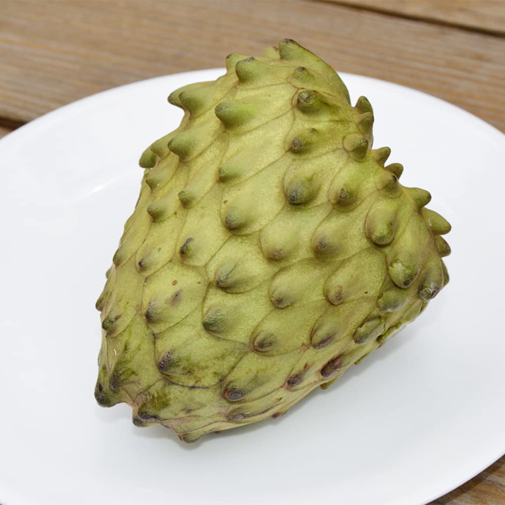 Cherimoya Seeds Annona cherimola Custard Apple – Heirloom, Non-GMO, High Germination Organic Garden Seeds