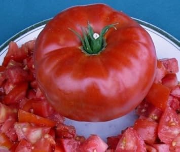 Red Tomato Heirloom Non Gmo Image