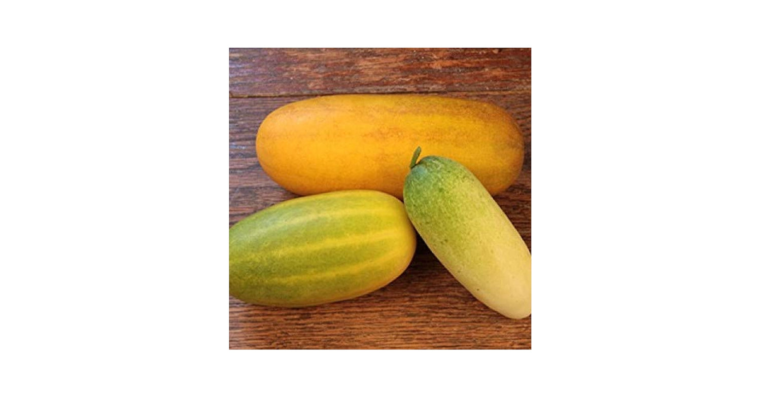 Mixed Cucumber Seeds Red Yellow White Types Balcony Fruit Garden