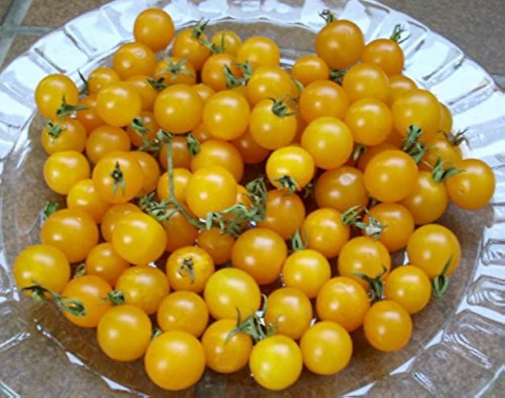 Currant Yellow Tomato Seeds Seeds