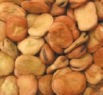 Fava Bean Giant Heirloom Non Gmo Image