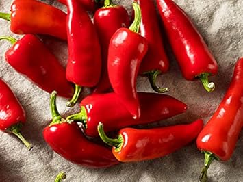 Red - Heirloom, Non - Gmo Seeds
