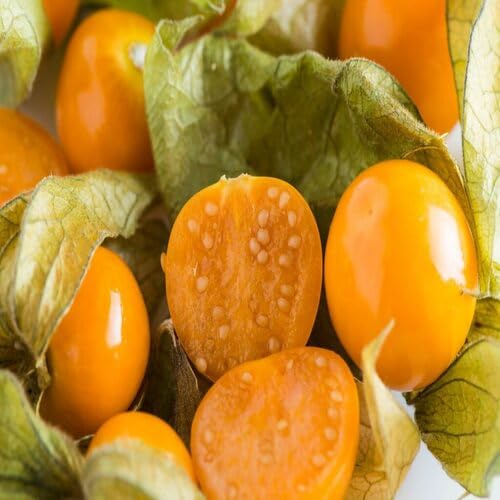Yellow Physalis Alkekengi Fruit - Heirloom, Non - Gmo Seeds