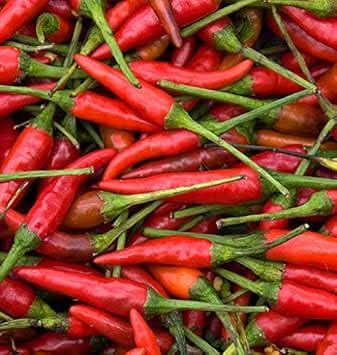 Chili Hot Vegetable Seeds for Planting – Light Red Peppers