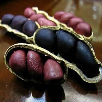 Peanut Vegetable Seeds for Planting – Black Brown Shell Variety