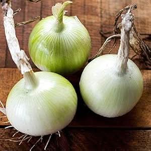 White Onion (Allium) Seeds for Home & Garden