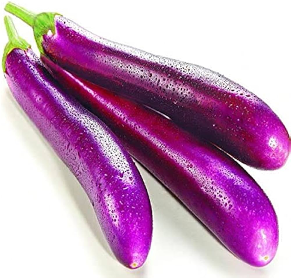 Eggplant Solanum Melongena Long Purple Vegetable Seeds for Planting – Heirloom Variety for Grilling and Garden Cooking
