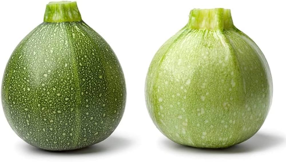 Summer Squash Cucurbita pepo Seeds for Planting