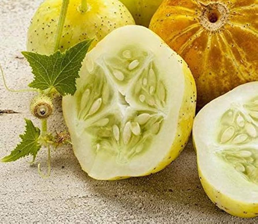 Lemon Cucumber Seeds – Heirloom, Seeds
