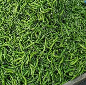 Thick Green Chili Seeds for Planting heirloom & Non-GMO Seeds