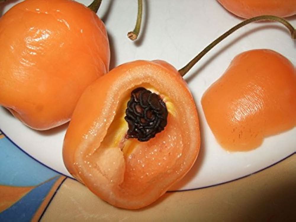 Orange Manzano Pepper Capsicum Pubescens Vegetable Seeds for Planting in Home Garden and Containers
